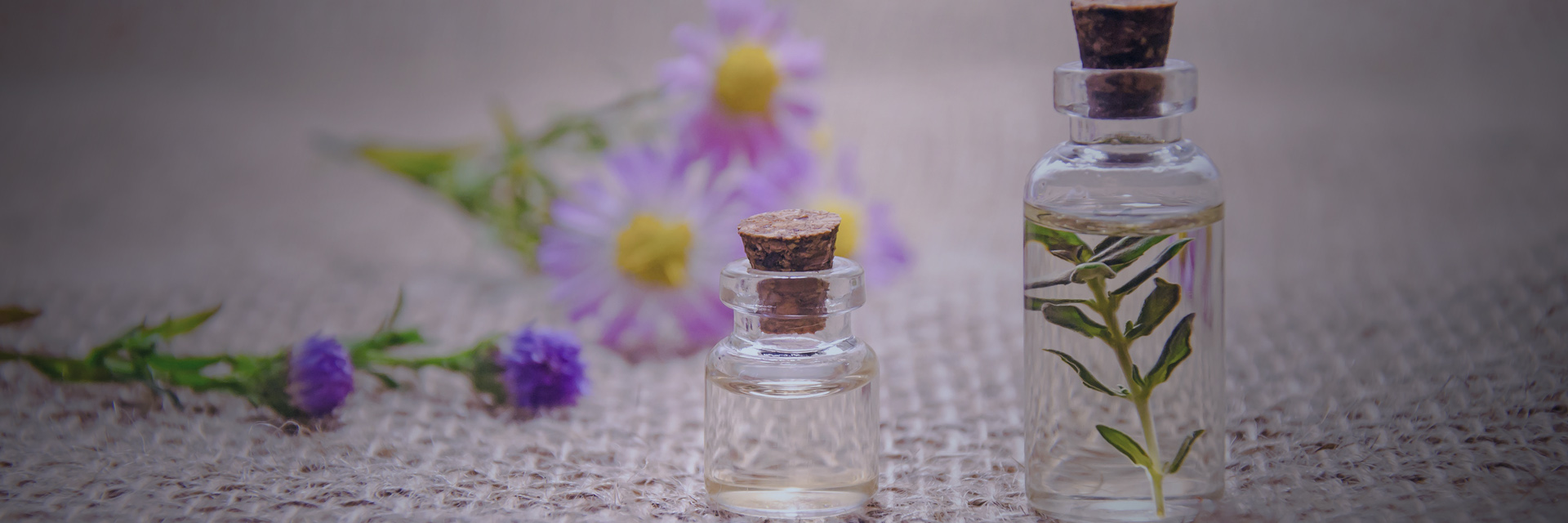  Thai Solution Massage 